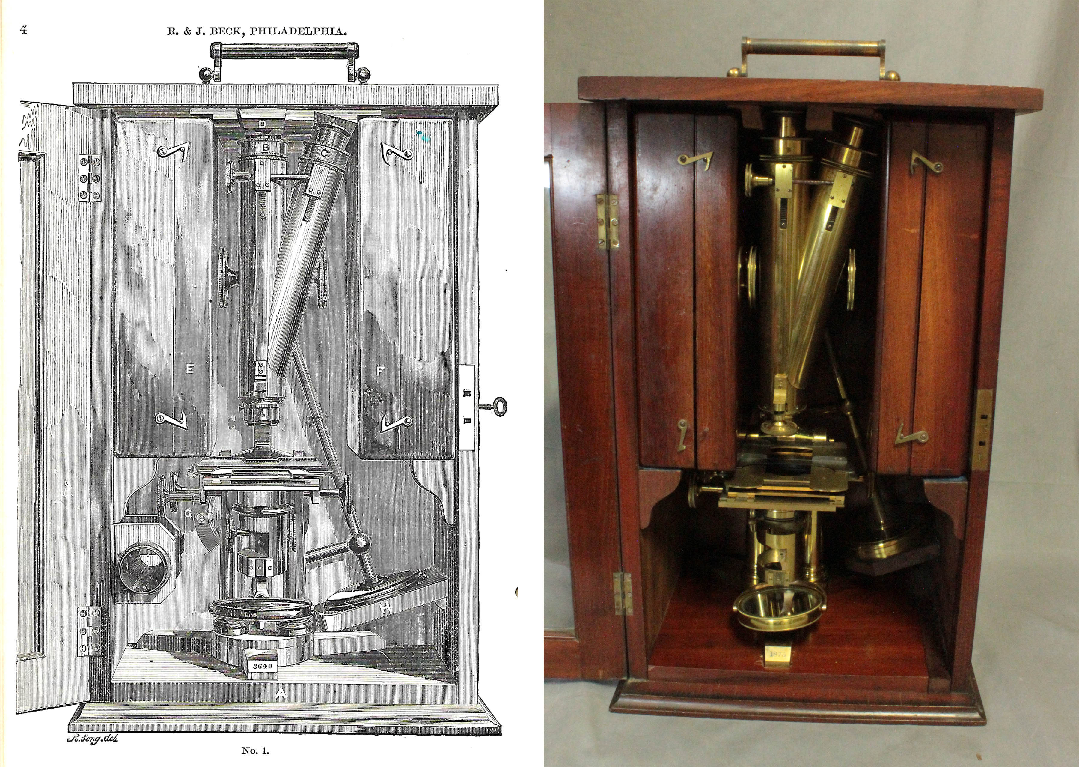 Smith and Beck Best No.1 microscope