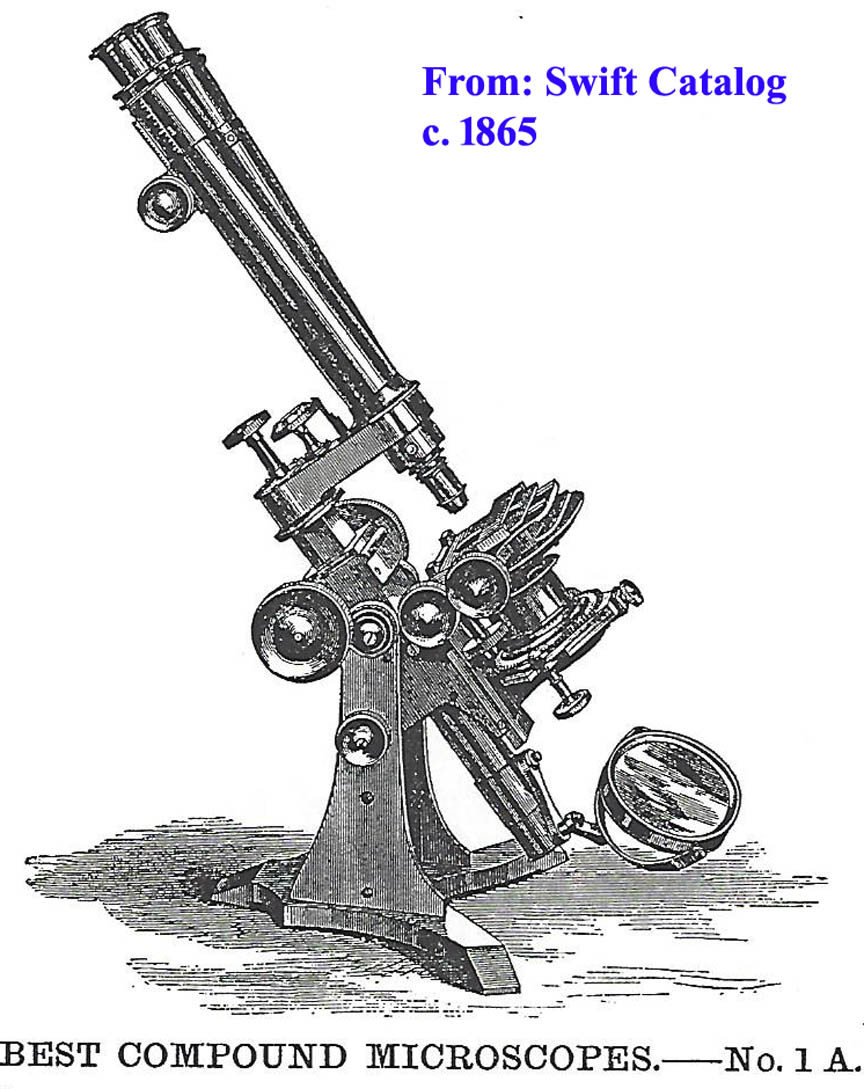 swift 1865 Best Bar Limb