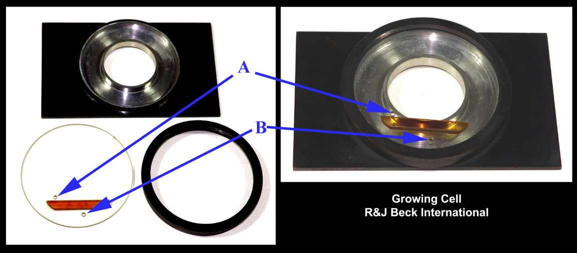 Growing Cell