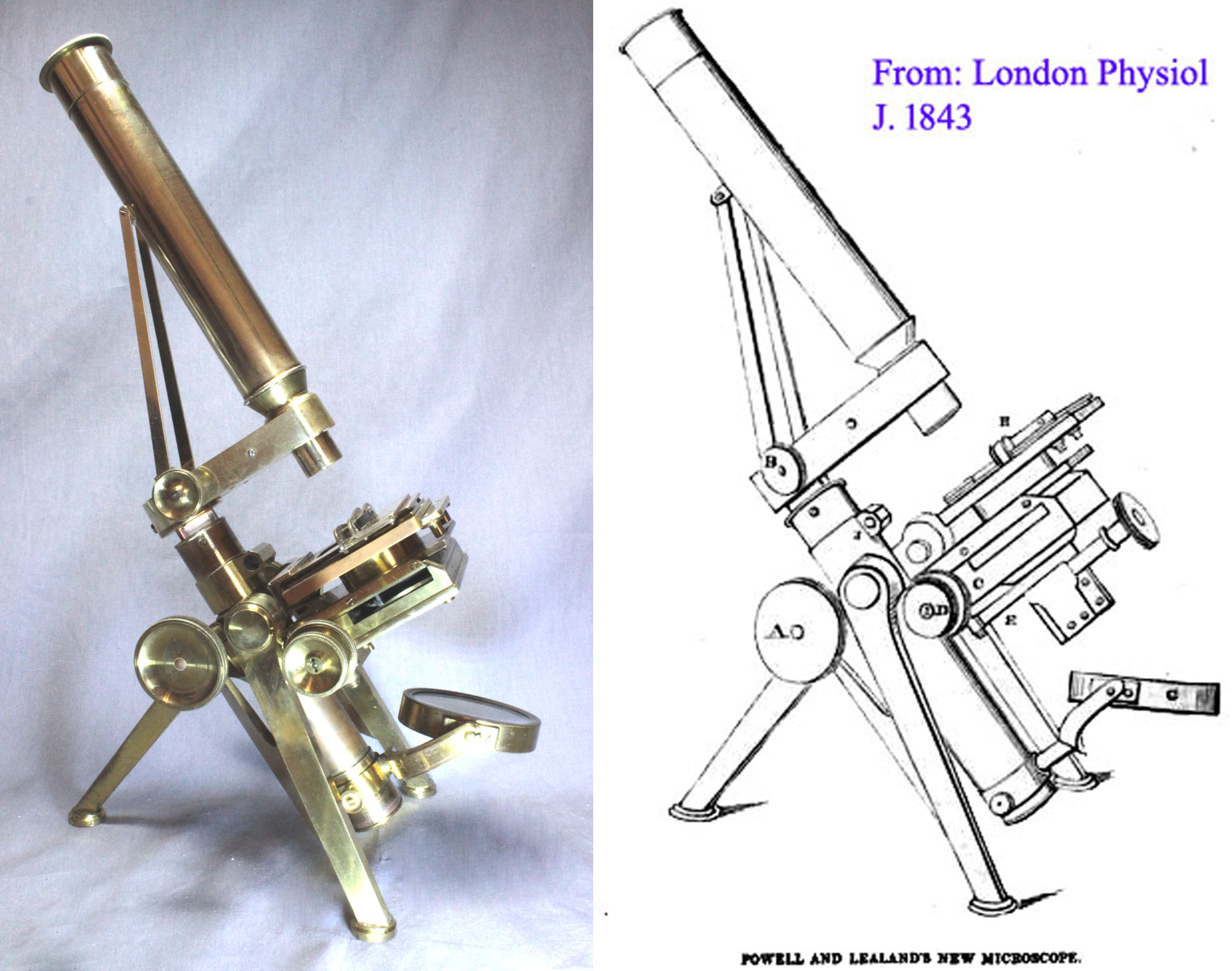 1843 p and l stand