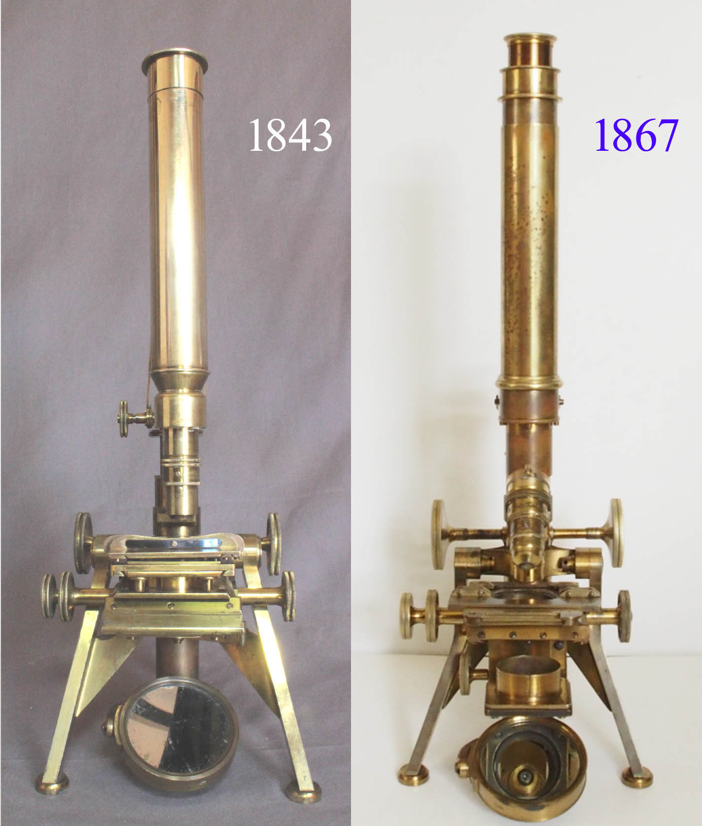 p and l microscopes