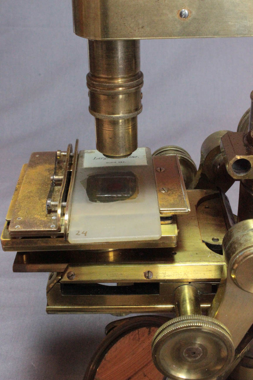 P & L orig microscope