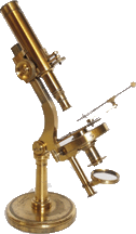 Powell lister Limb Microscope