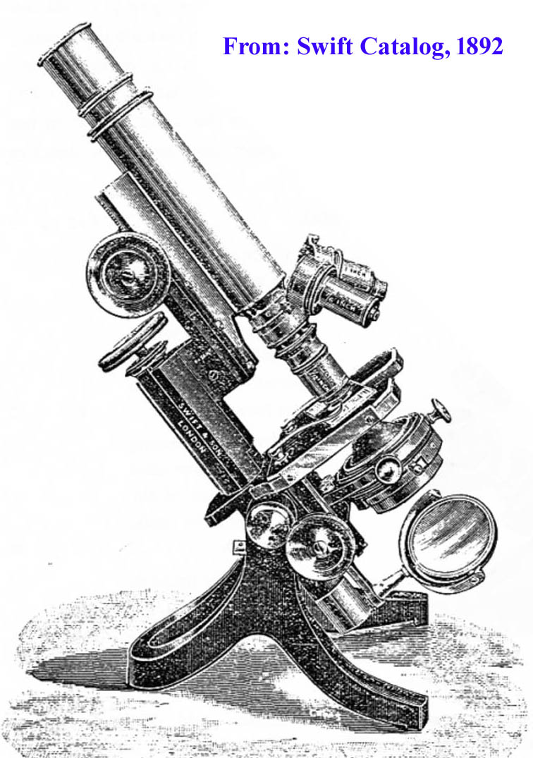 crookshank 2
