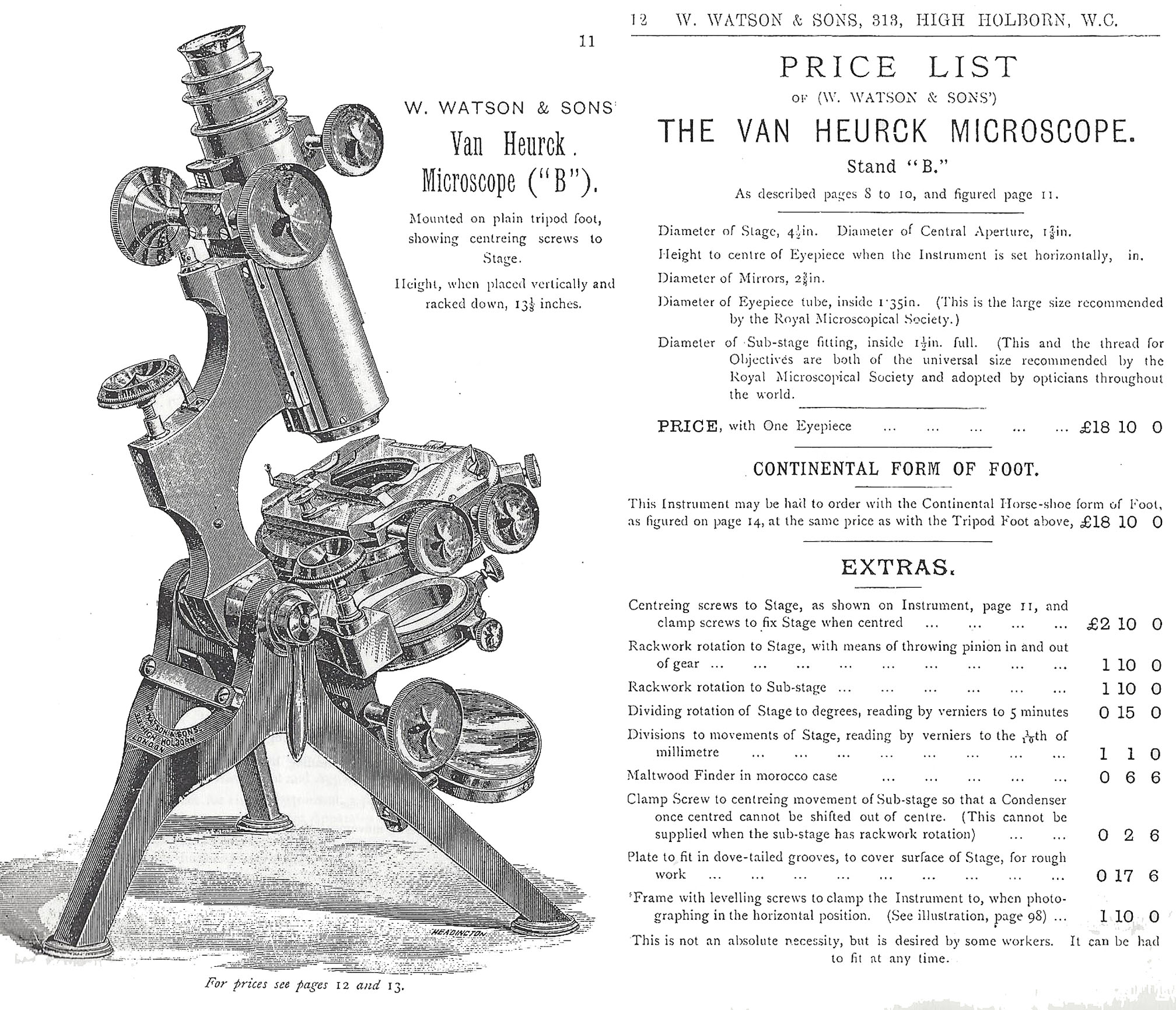 1896 cat