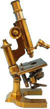 Beck Continental  microscope