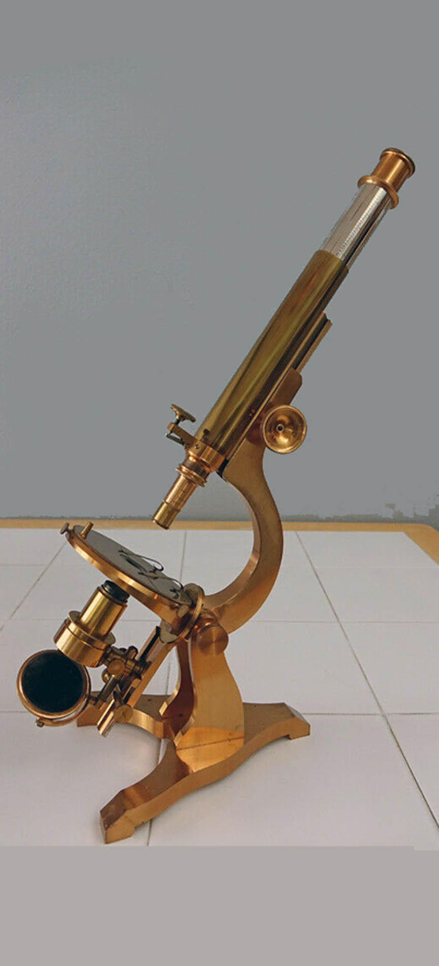 Dalton student microscope