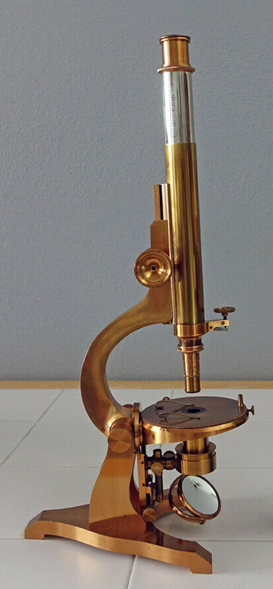 Dalton student Microscope