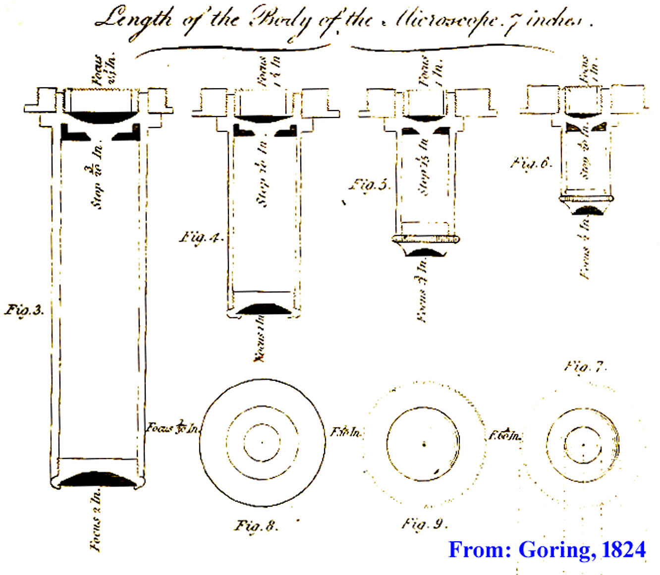 Goring Improved Microscope