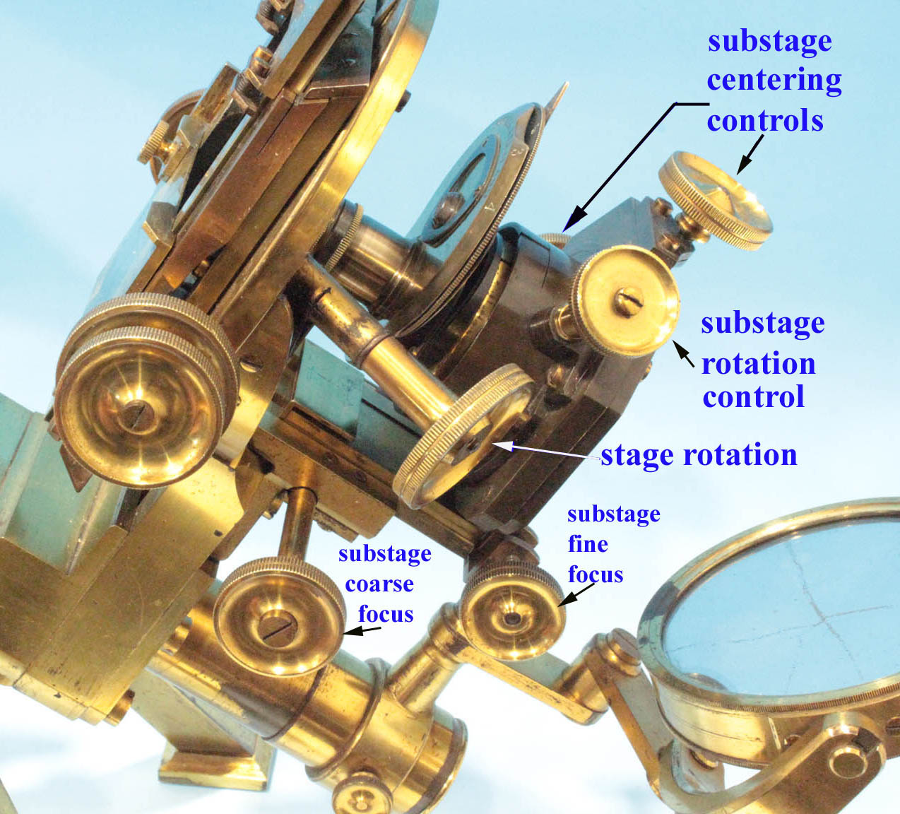 XXXX microscope