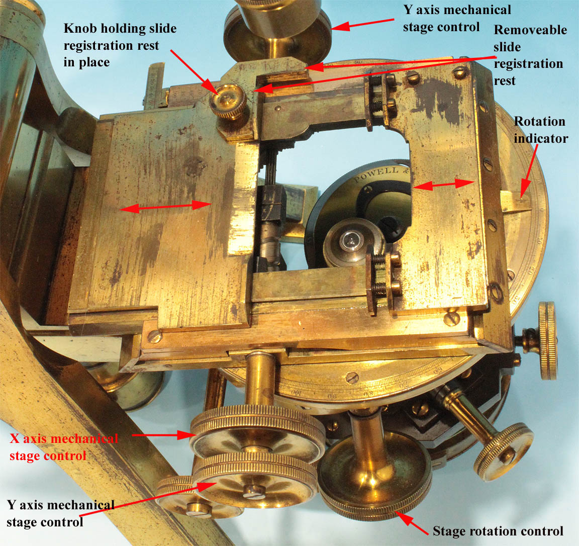 XXXX microscope