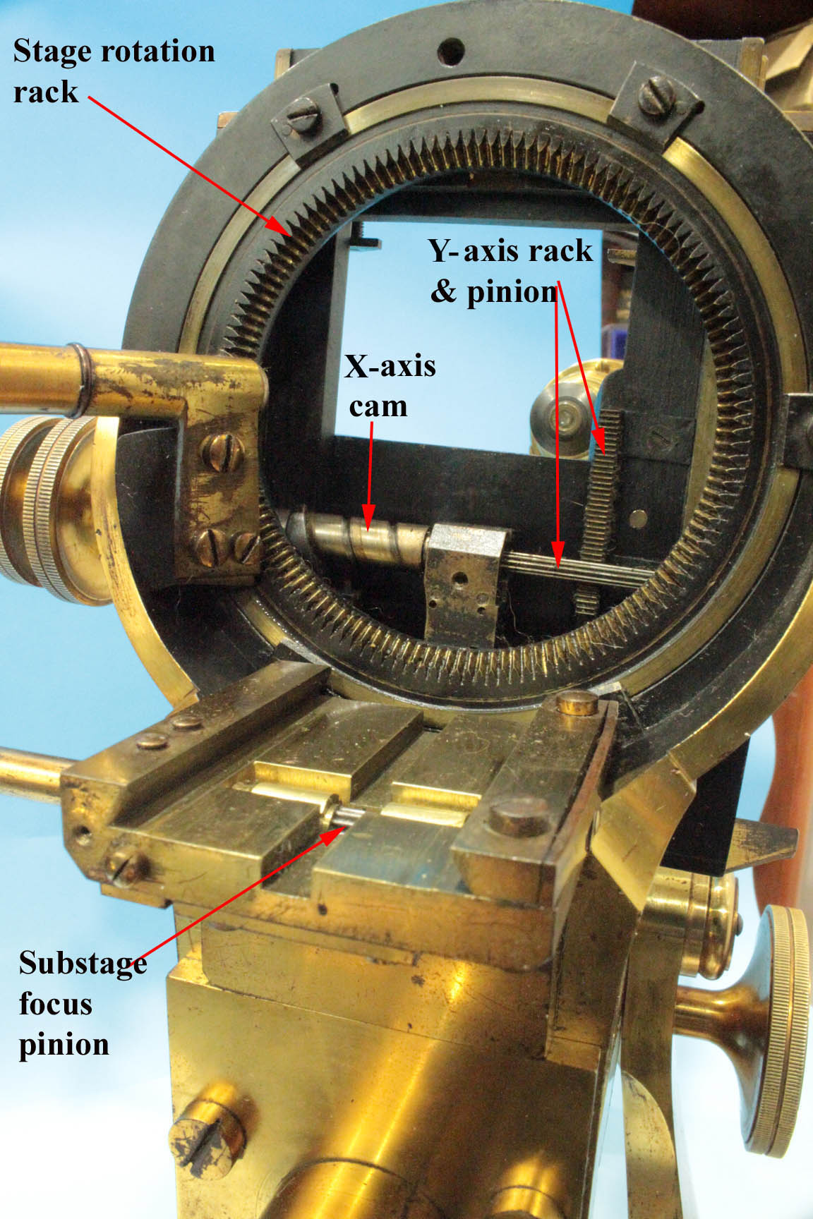 XXXX microscope