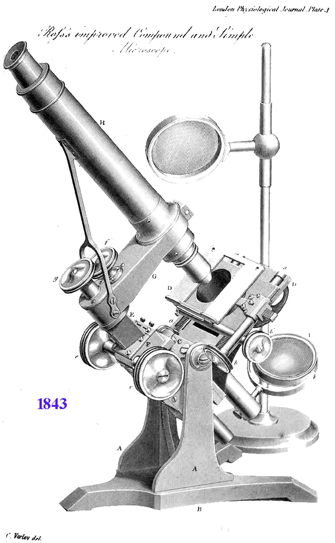 first bar limb