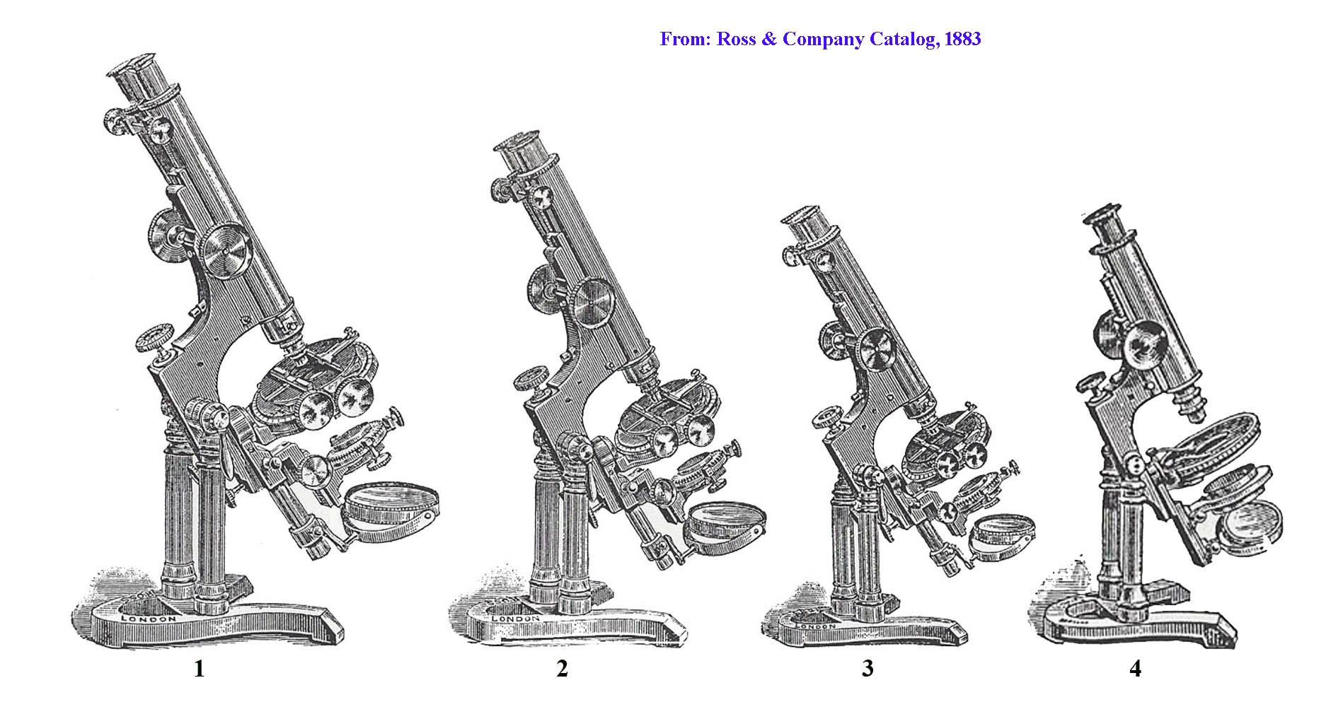 4 scopes