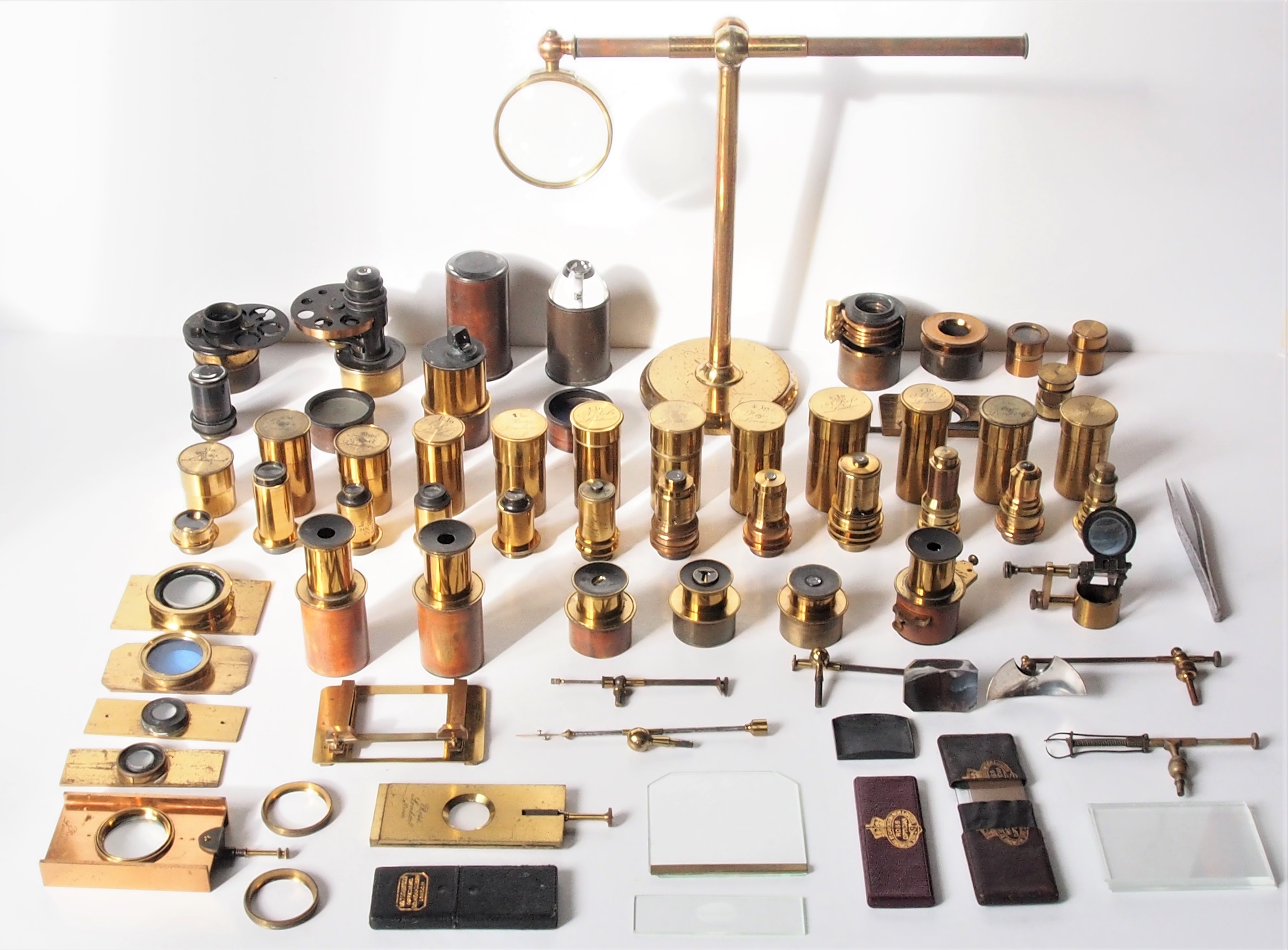 RZ microscope