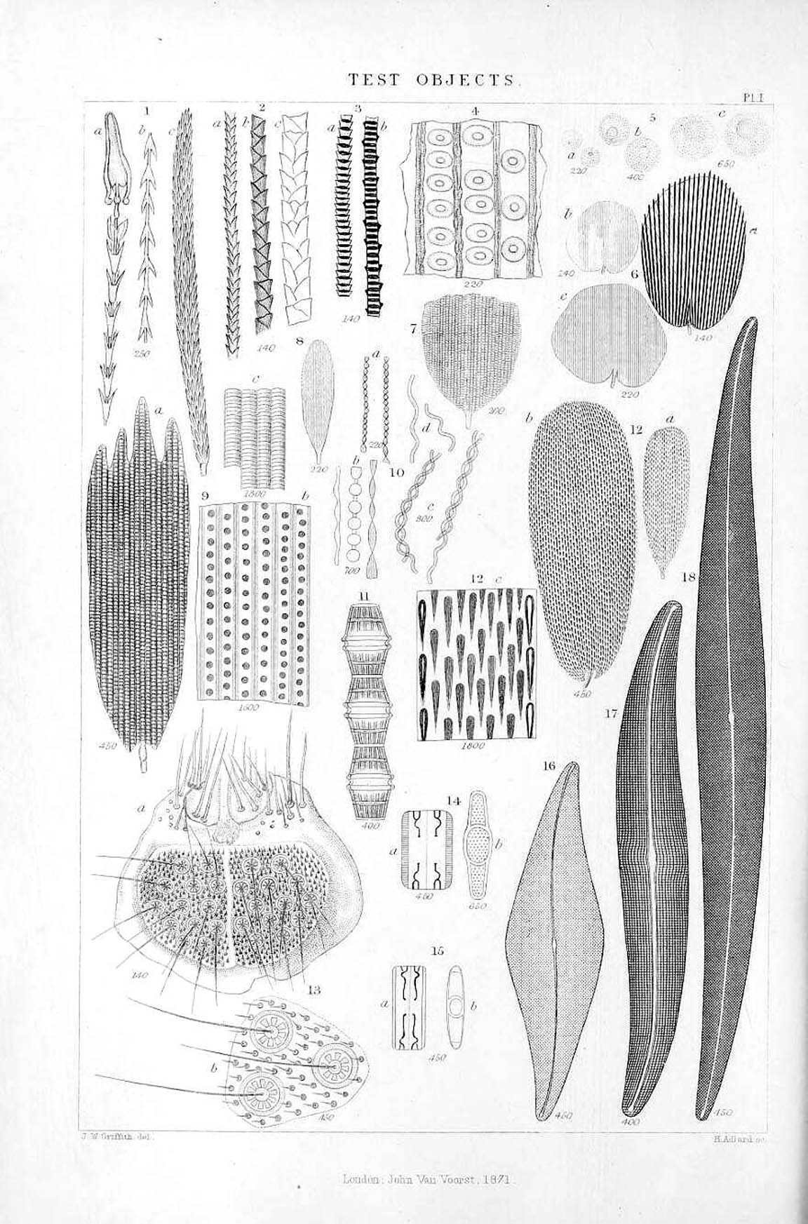 Test objects micrographic dictionary 