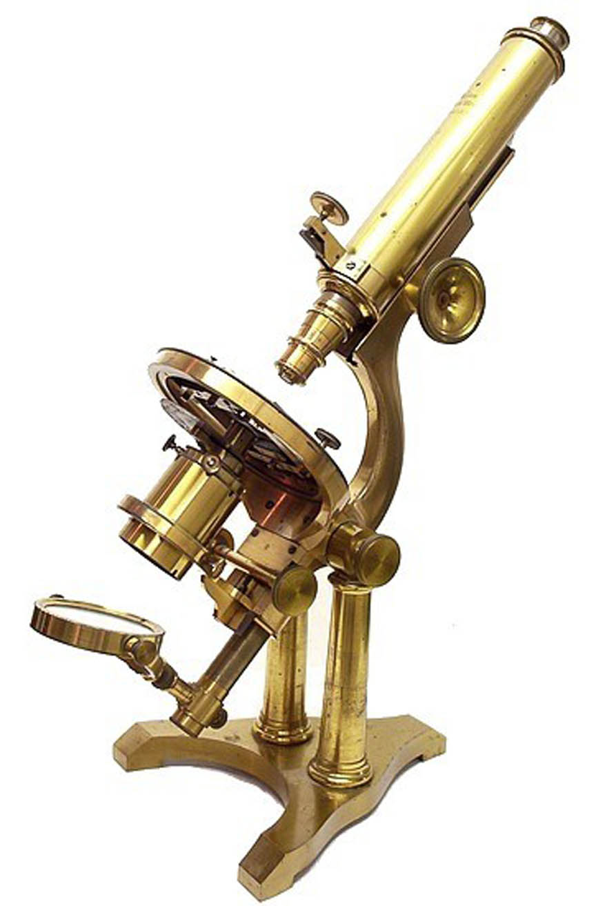 XXXX microscope