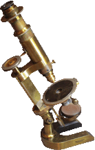 voigt hochgesang  microscope