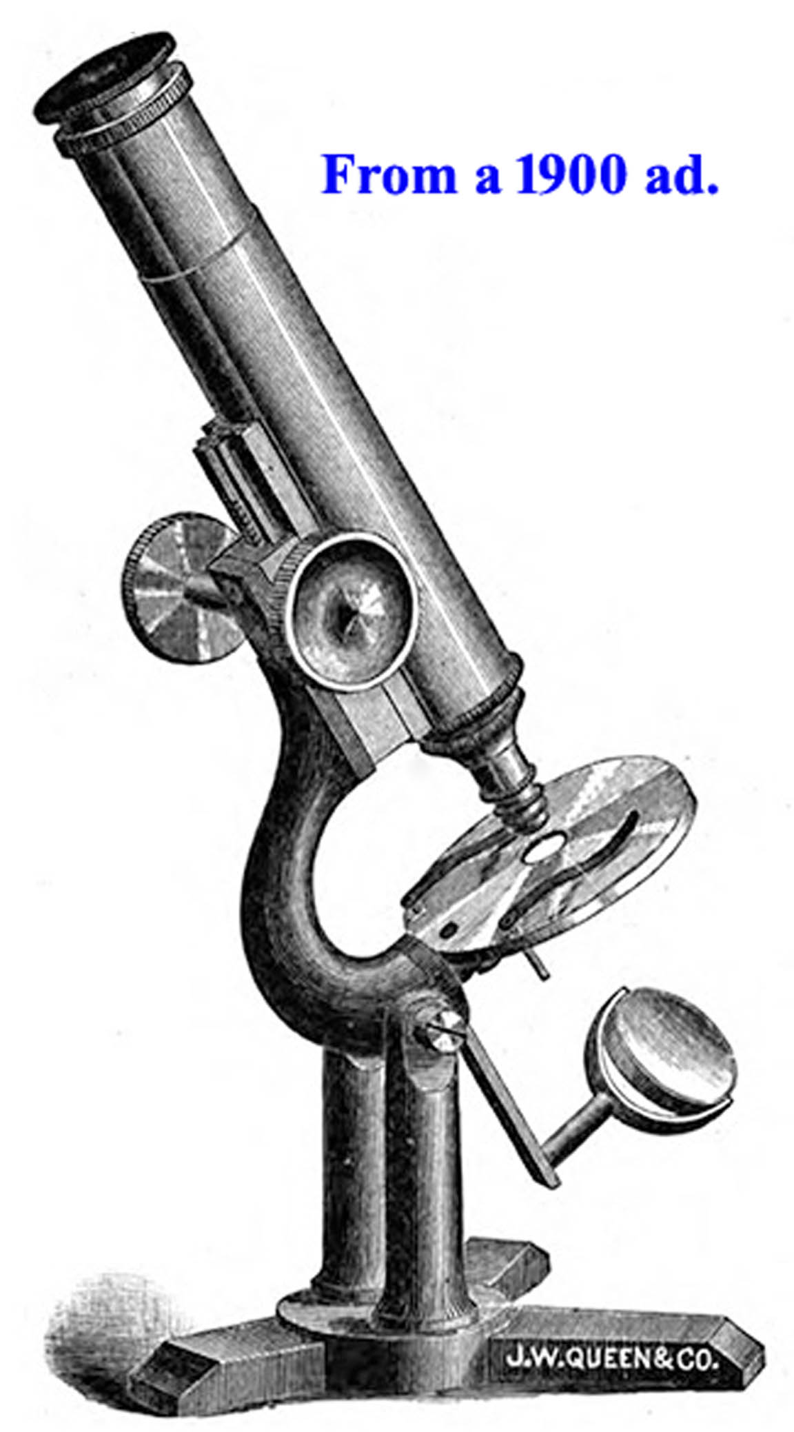  Microscope