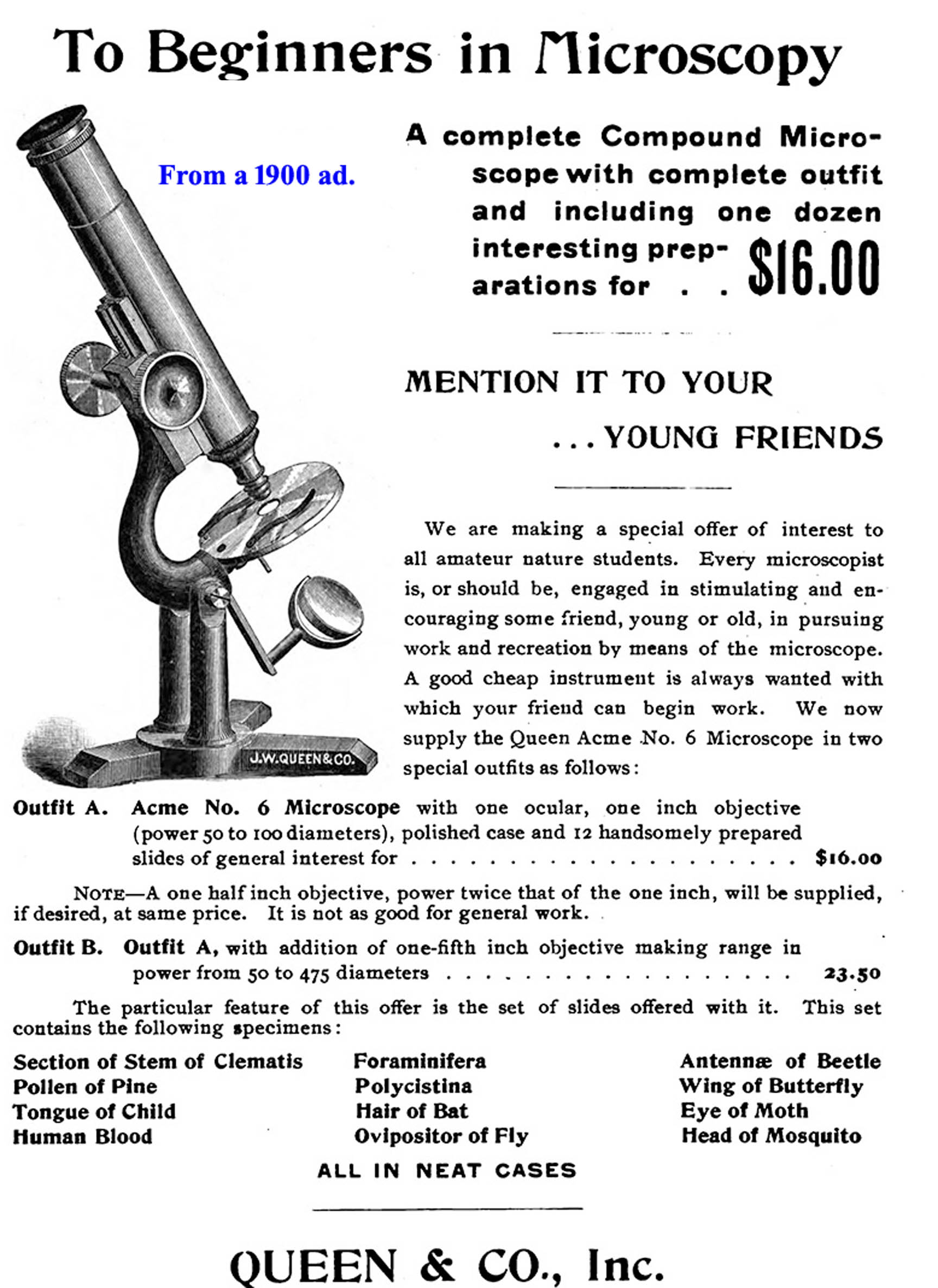 Microscope