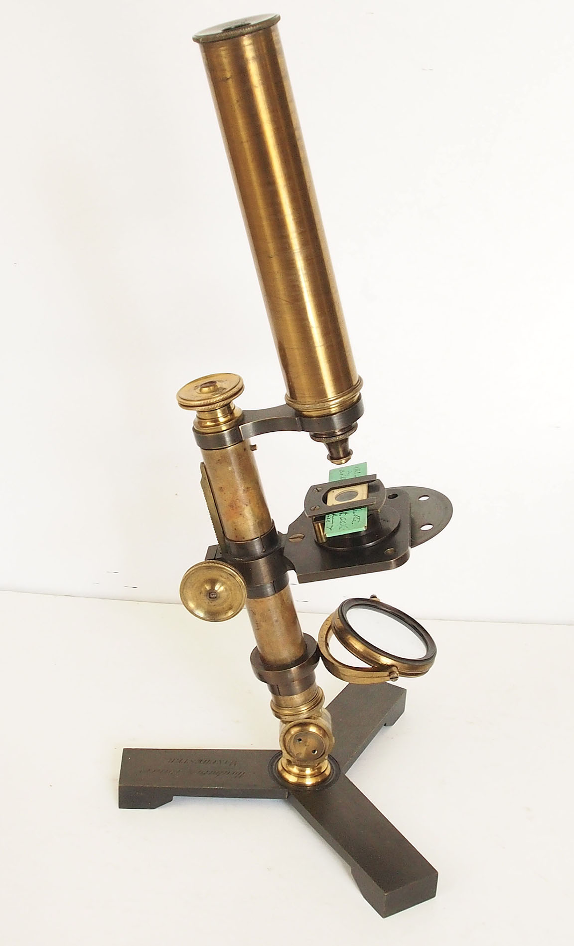 XXXX microscope