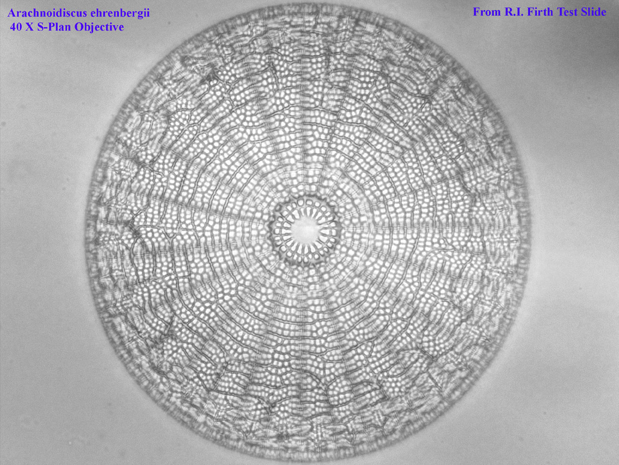 Firth test slide