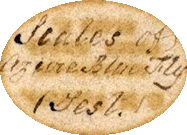 Rutt Slide of 'Azure Blue' Scales