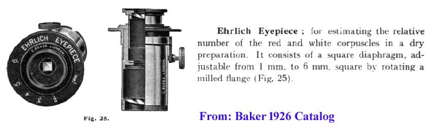 Ehrlich eyepiece