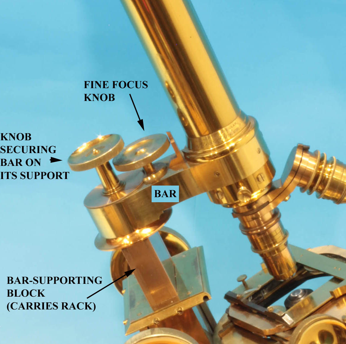 bar limb