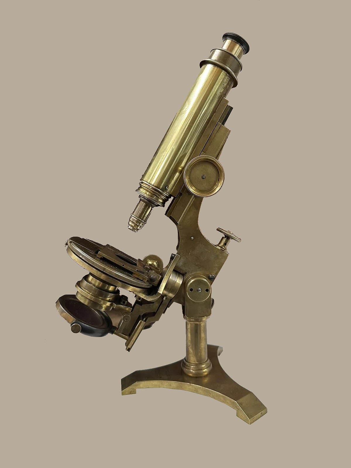 bulloch microscope 181 New biological