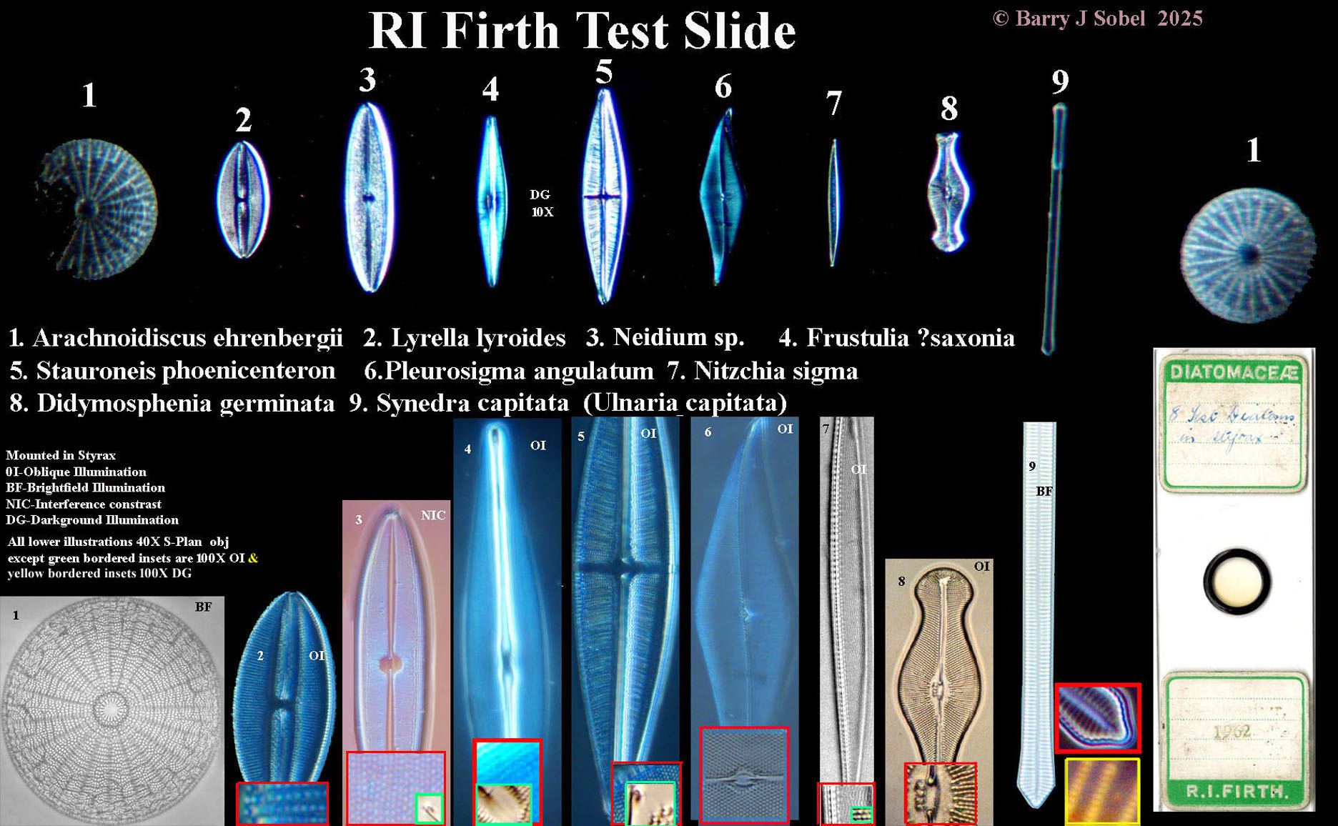 Firth test slide