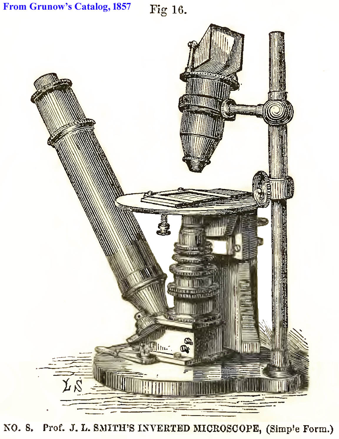 Grunow inv 1857