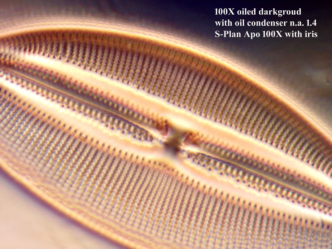 Firth test slide