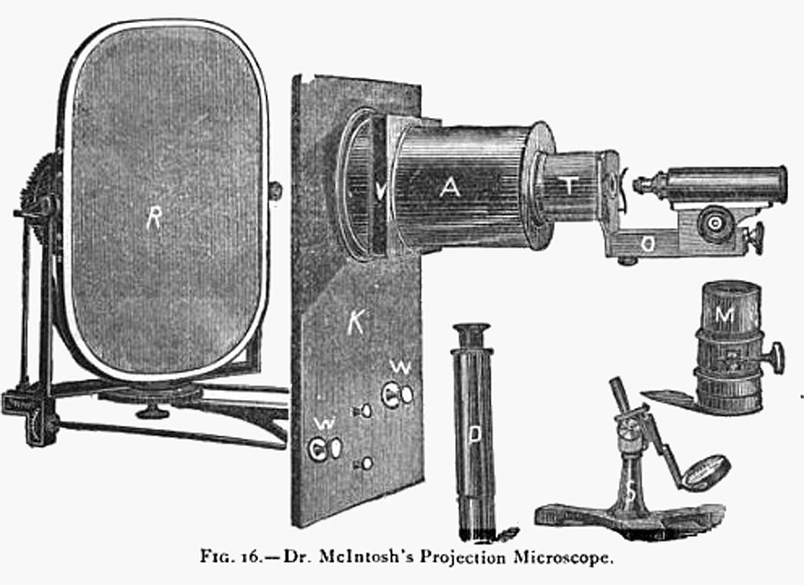catalog 1895