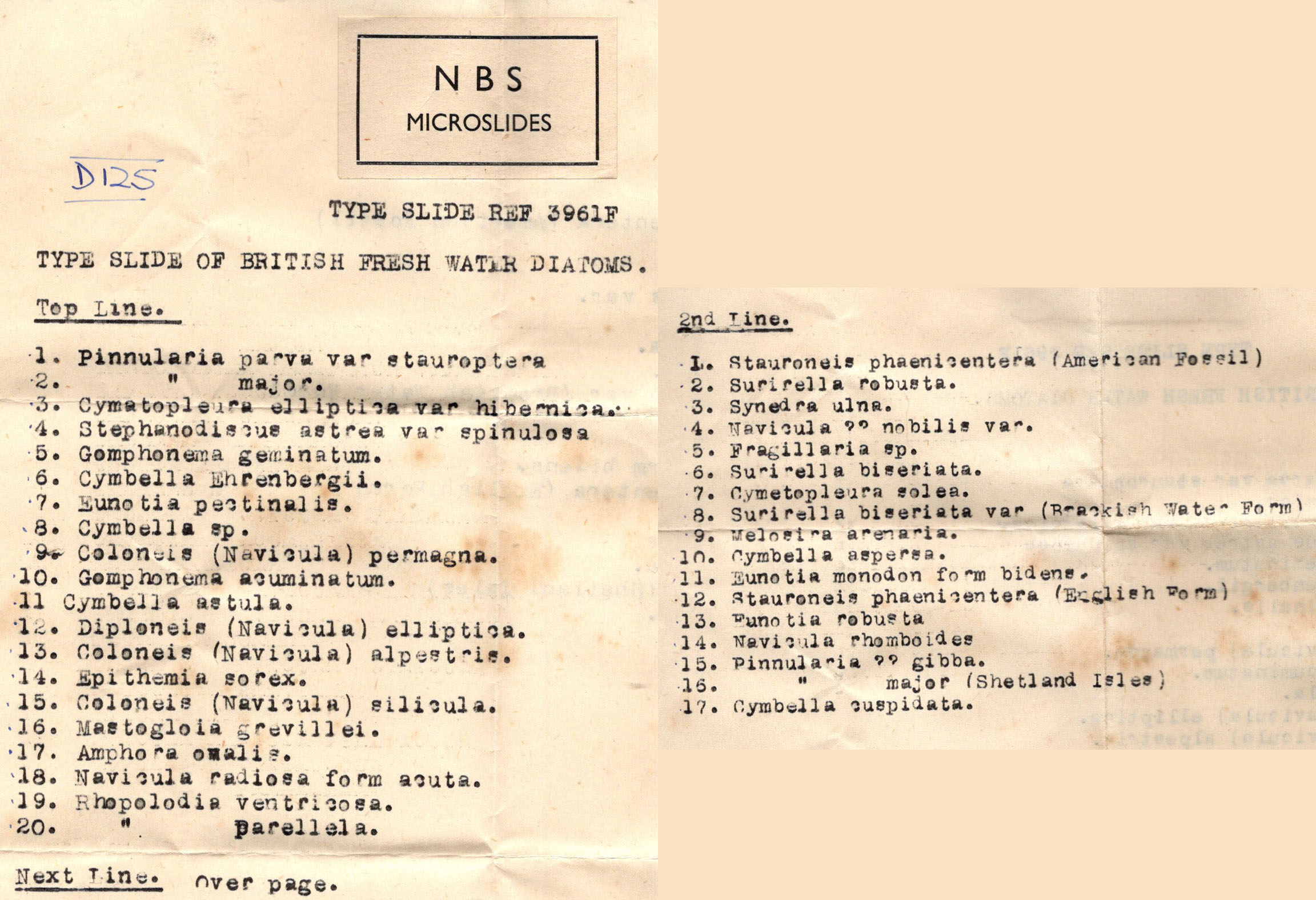 NBS Slide Typewritten list