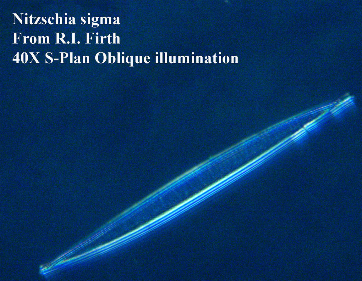 Firth test slide