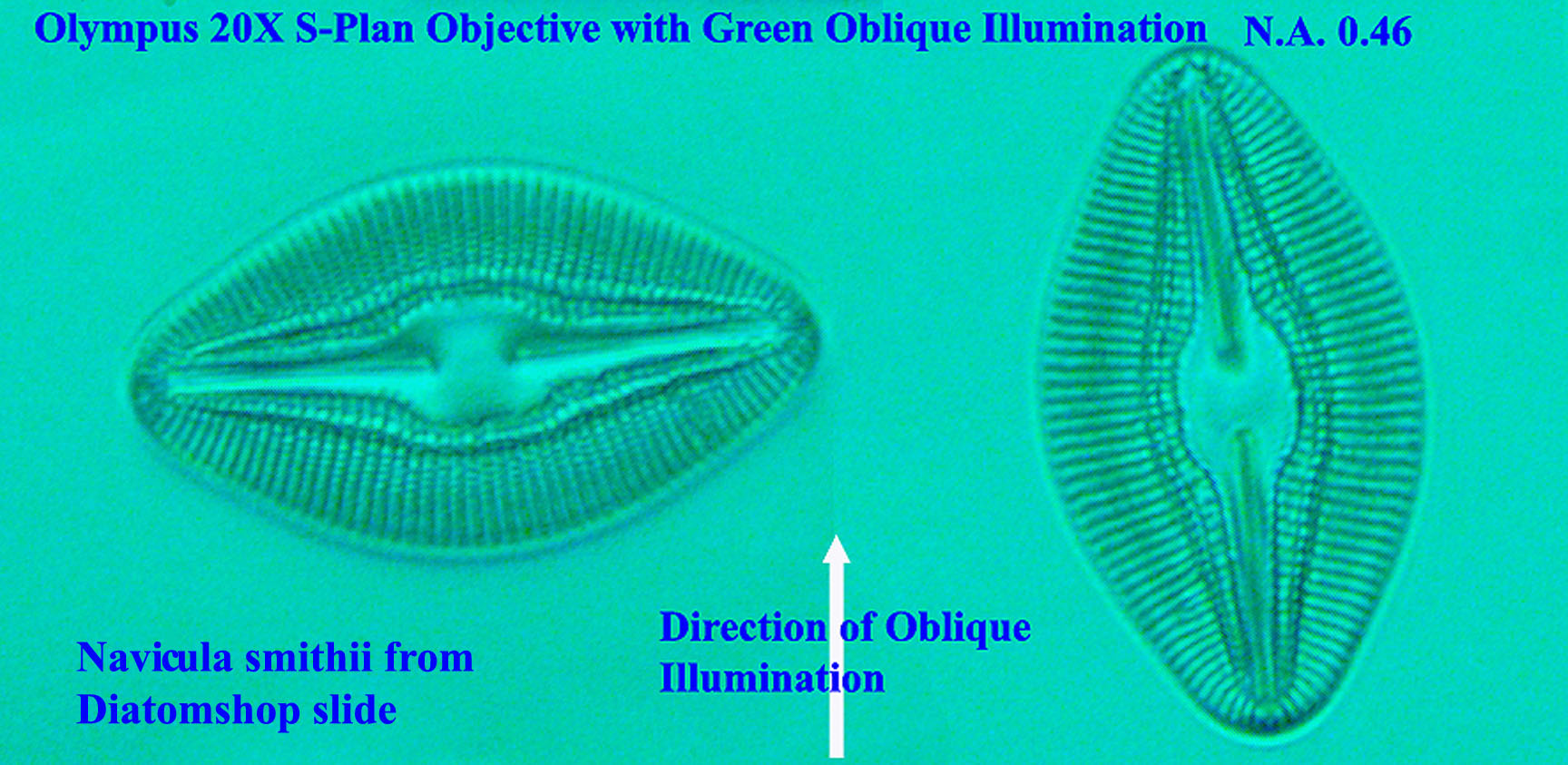 N. sigma oblique illumination