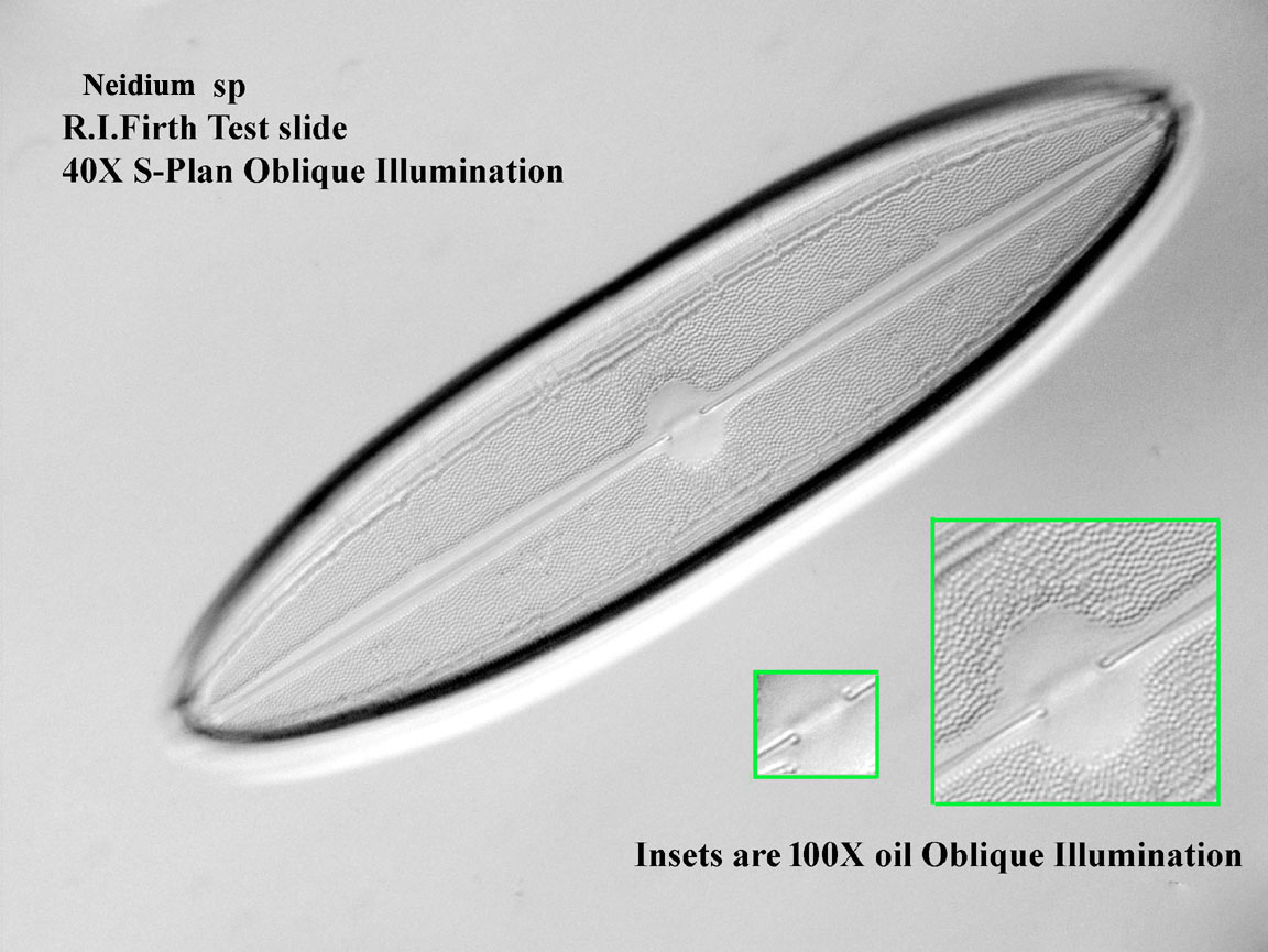 Firth test slide