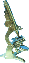 Pillischer