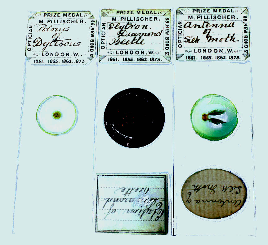 pill slides