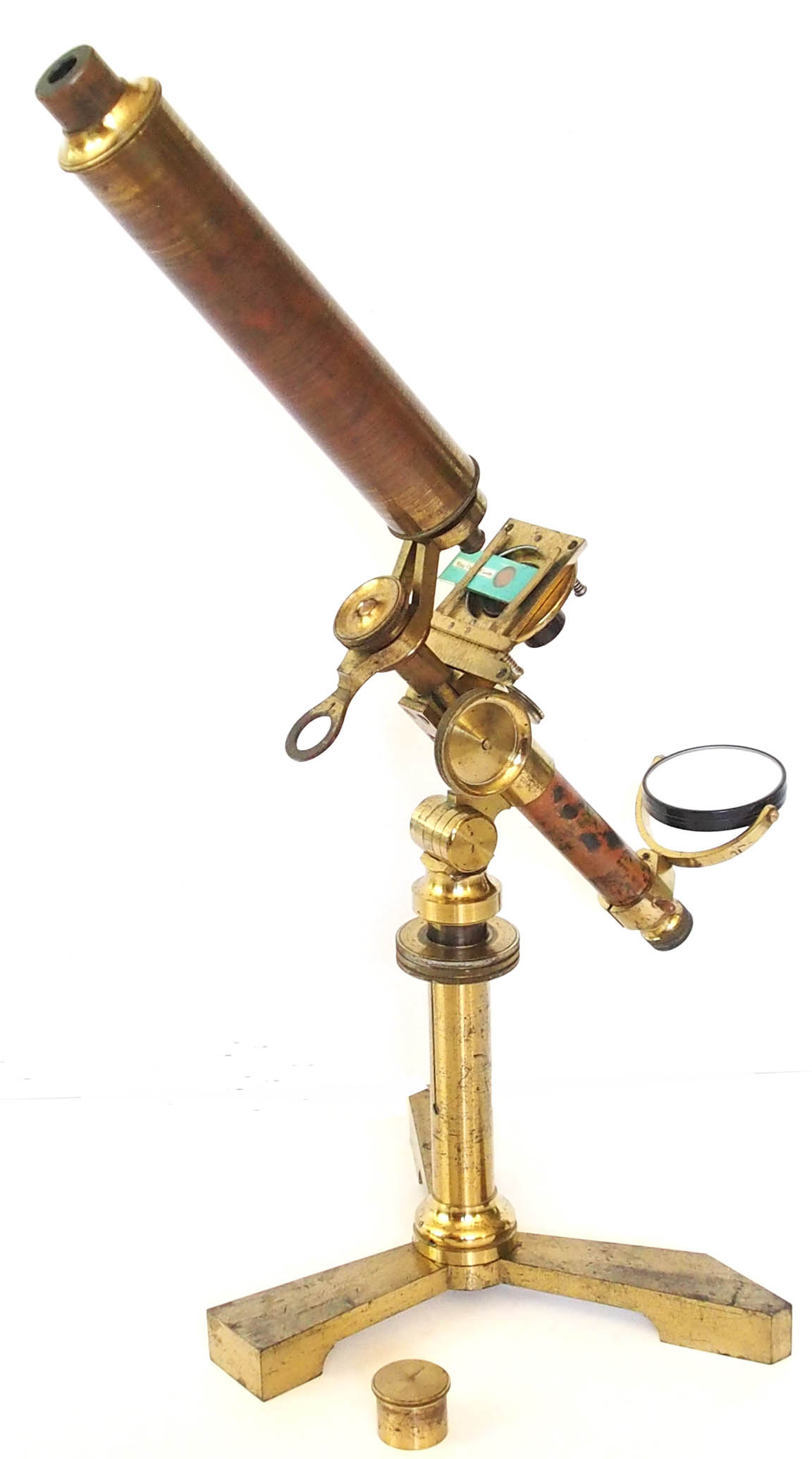  Microscope