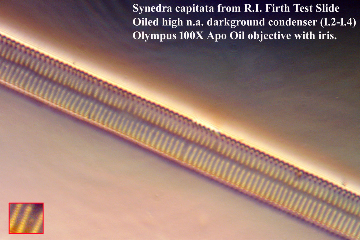 Firth test slide