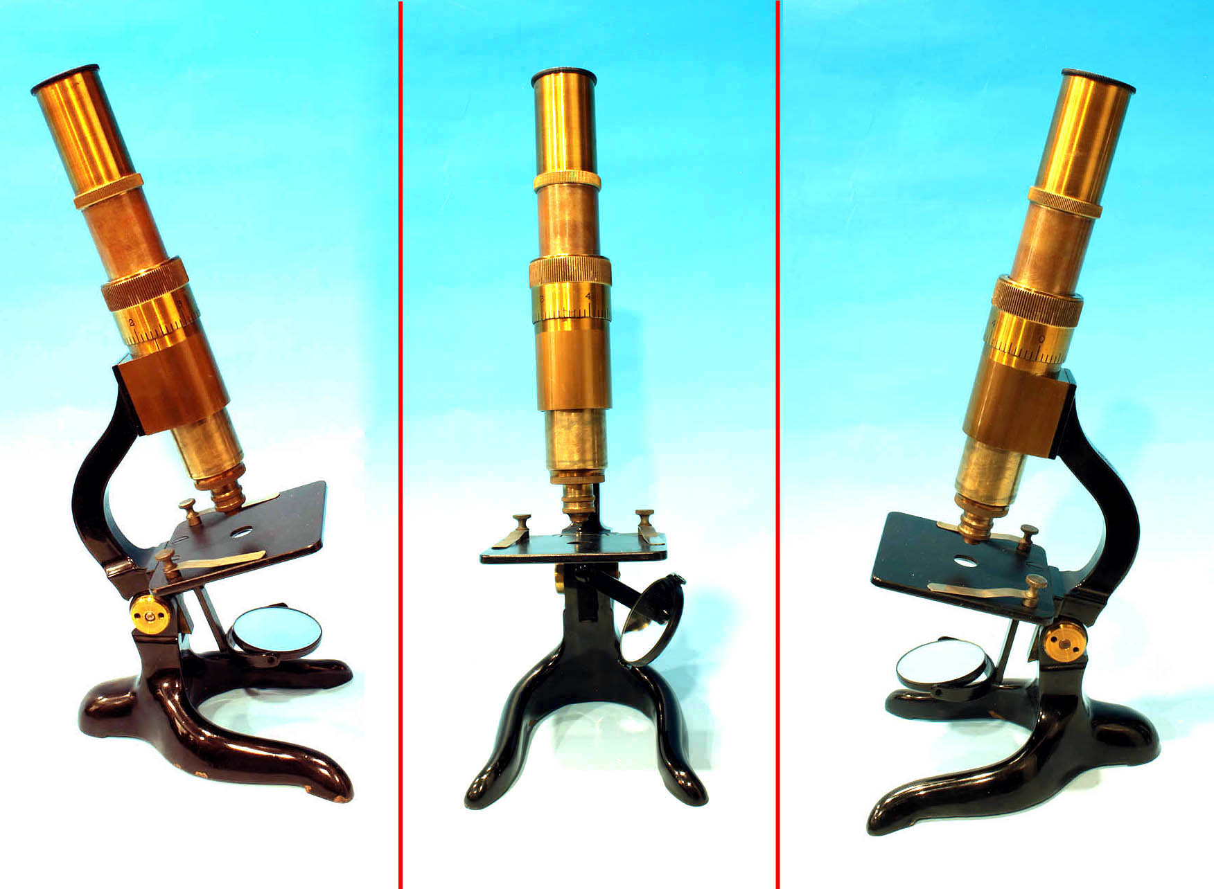 Schutz microscope