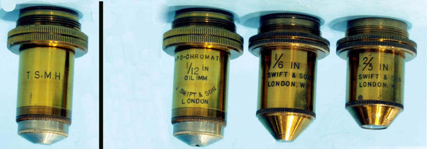 Swift Bacterial understage