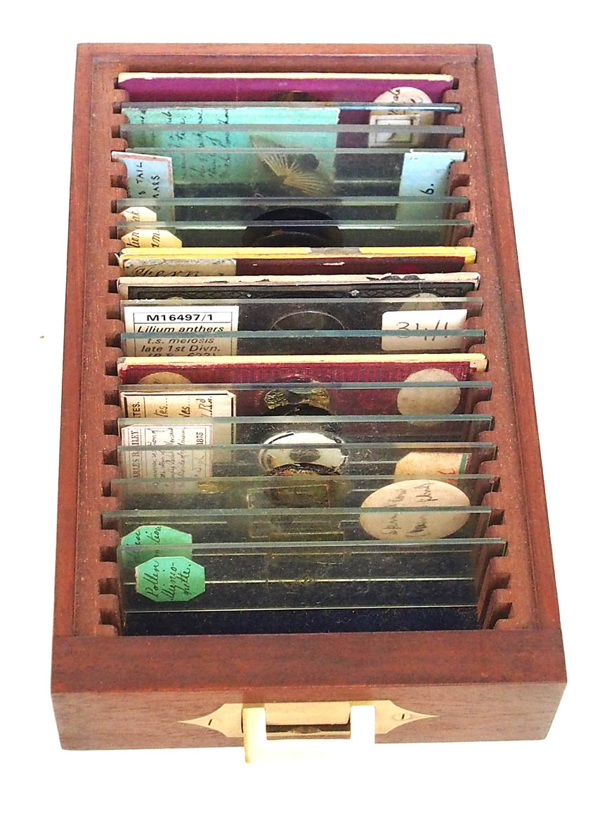 XXXX microscope