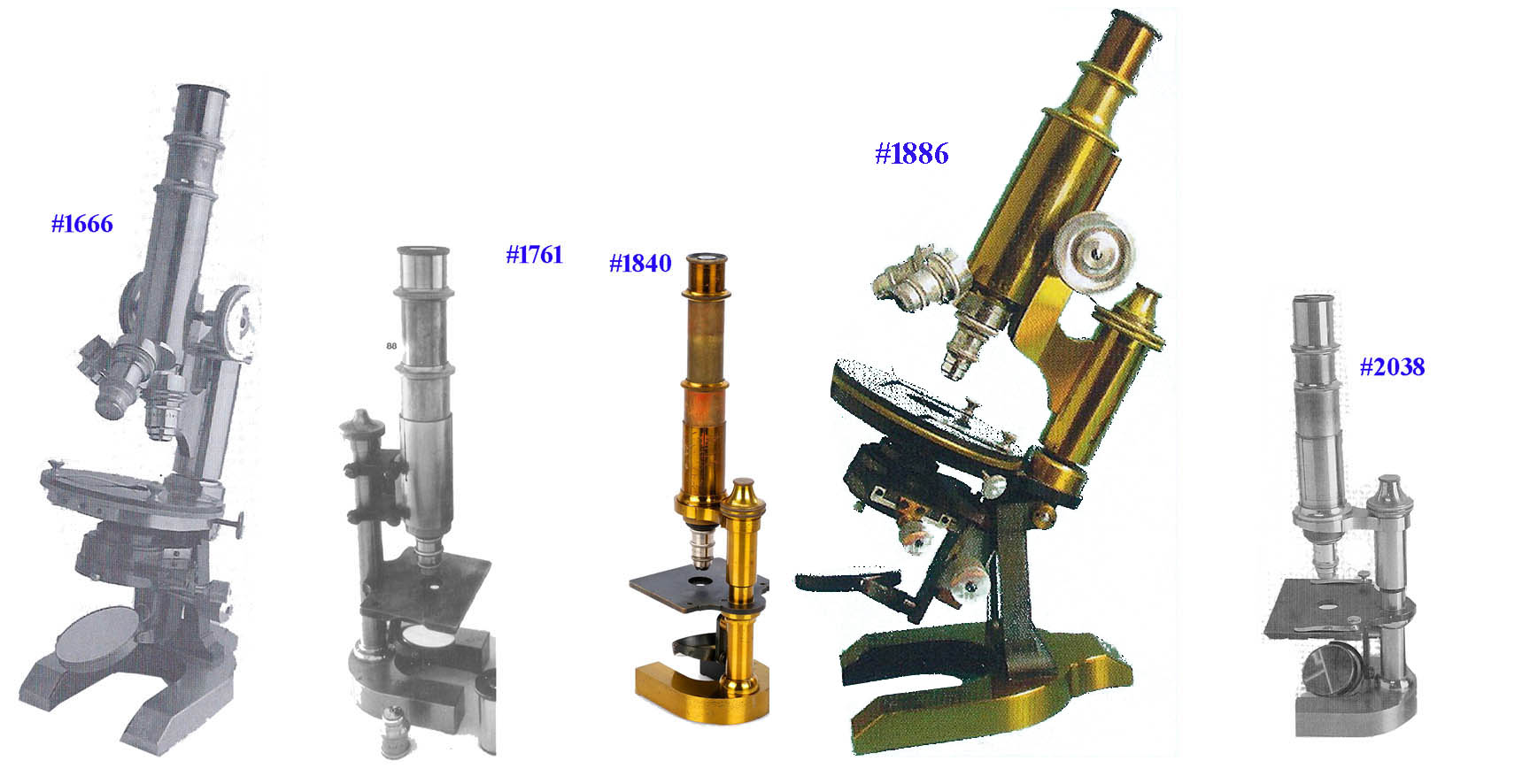 Z and Z stands