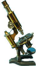 Zulauf MICROSCOPE